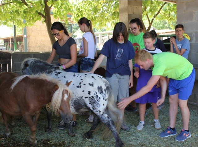  Mit den Ponys interagieren 